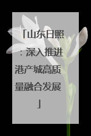 山东日照：深入推进港产城高质量融合发展